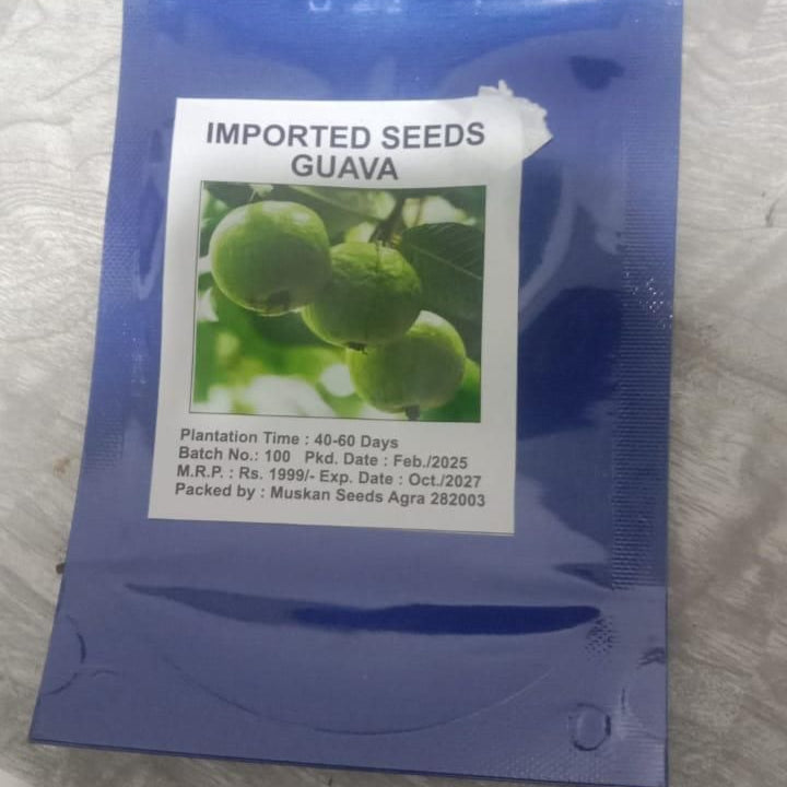 Organic Guava Seeds 🌱 + Free Pot Mix – Grow Fruit in your balcony, patio, rooftop or garden🌿 100 g