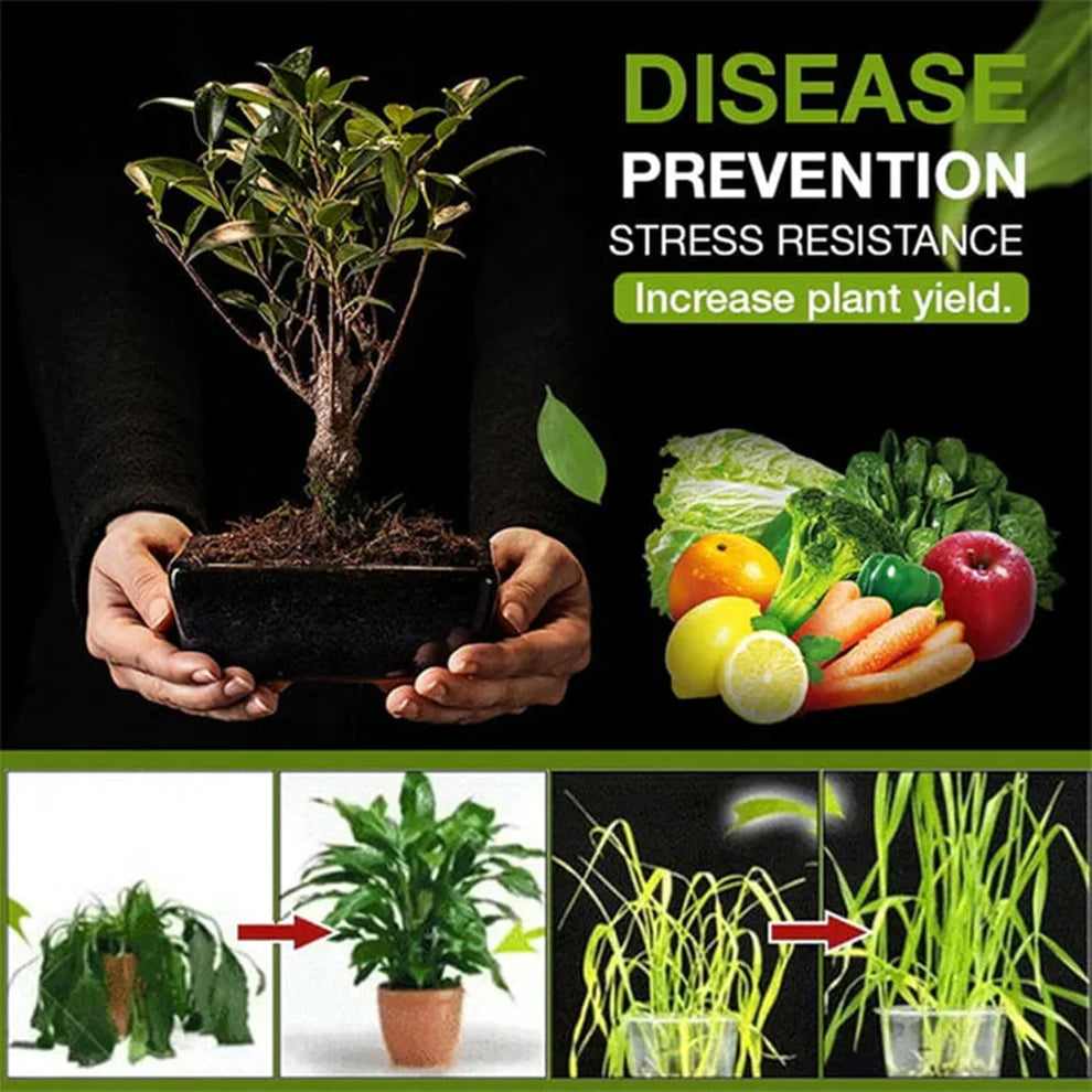 Soil Activated Treasure Premium Soil Activator 200gram (Buy 1 Get 1 Free)