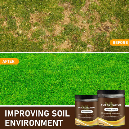 Soil Activated Treasure Premium Soil Activator 200gram (Buy 1 Get 1 Free)