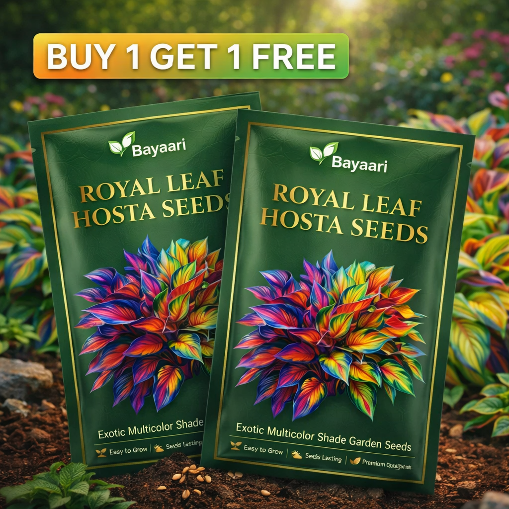 Rare Multicolor Hosta Seed (Pack of 6 colour seeds) Buy 1 Get 2 Free + 100 Grams Organic Potmix Free