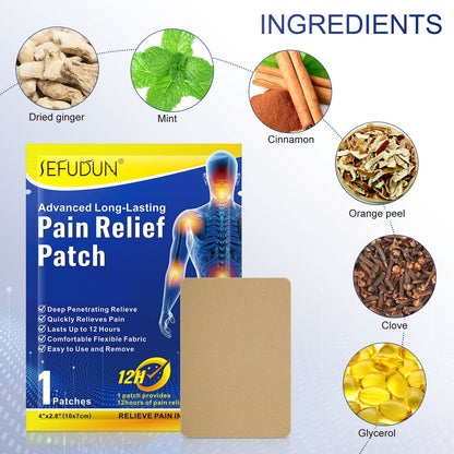 Herbal Instant Pain Relief Patc- 10 PATCHES (Buy 1 Get 1 Free🔥🔥)