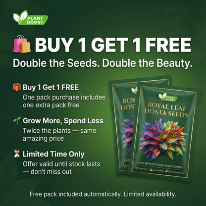 Rare Multicolor Hosta Seed (Pack of 6 colour seeds) Buy 1 Get 2 Free + 100 Grams Organic Potmix Free