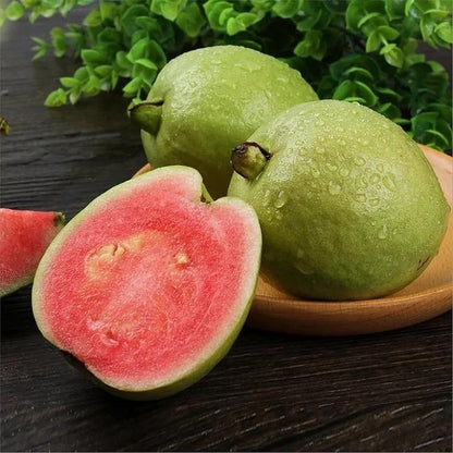 Organic Guava Seeds 🌱 + Free Pot Mix – Grow Fruit in your balcony, patio, rooftop or garden🌿 100 g