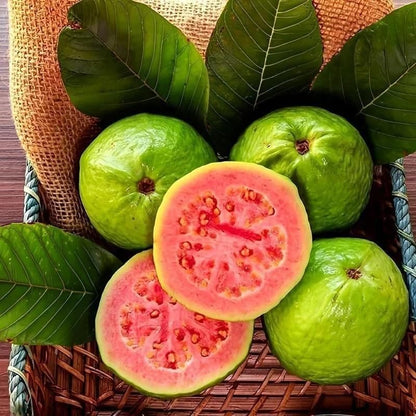 Organic Guava Seeds 🌱 + Free Pot Mix – Grow Fruit in your balcony, patio, rooftop or garden🌿 100 g