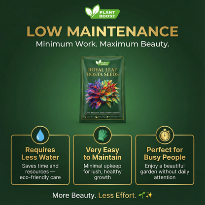 Rare Multicolor Hosta Seed (Pack of 6 colour seeds) Buy 1 Get 2 Free + 100 Grams Organic Potmix Free