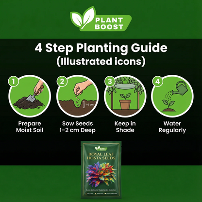 Rare Multicolor Hosta Seed (Pack of 6 colour seeds) Buy 1 Get 2 Free + 100 Grams Organic Potmix Free